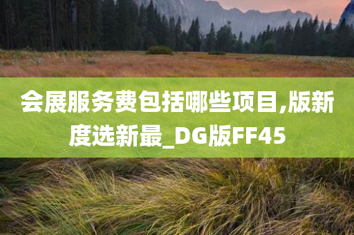 会展服务费包括哪些项目,版新度选新最_DG版FF45