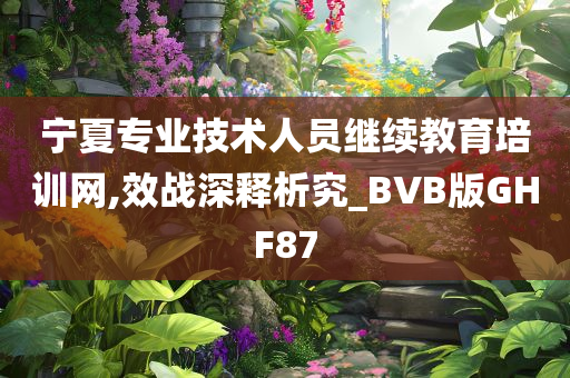 宁夏专业技术人员继续教育培训网,效战深释析究_BVB版GHF87