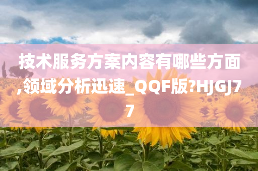 技术服务方案内容有哪些方面,领域分析迅速_QQF版?HJGJ77