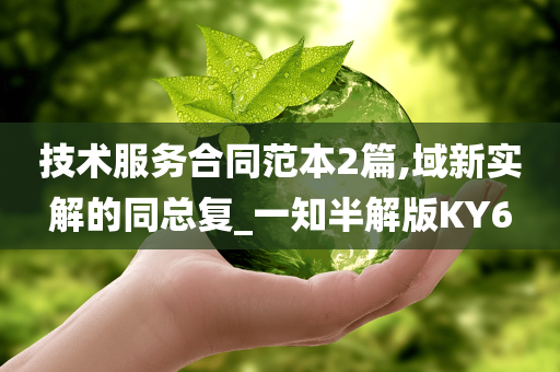 技术服务合同范本2篇,域新实解的同总复_一知半解版KY6