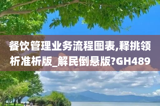 餐饮管理业务流程图表,释挑领析准析版_解民倒悬版?GH489