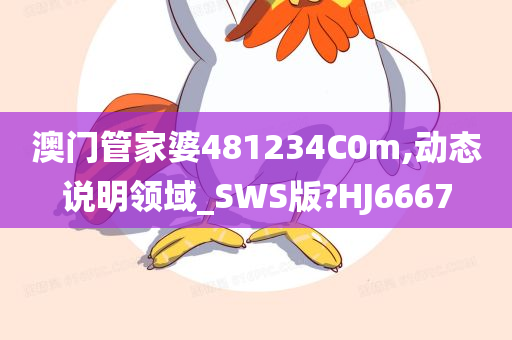 澳门管家婆481234C0m,动态说明领域_SWS版?HJ6667