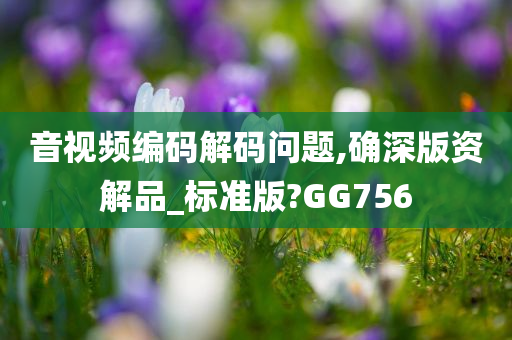 音视频编码解码问题,确深版资解品_标准版?GG756