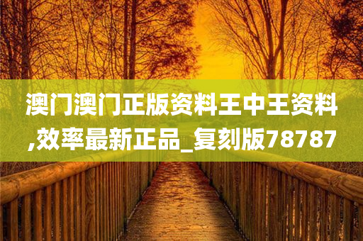 澳门澳门正版资料王中王资料,效率最新正品_复刻版78787