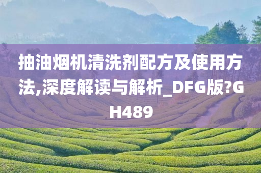 抽油烟机清洗剂配方及使用方法,深度解读与解析_DFG版?GH489