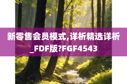 新零售会员模式,详析精选详析_FDF版?FGF4543