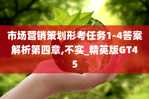 市场营销策划形考任务1-4答案解析第四章,不实_精英版GT45