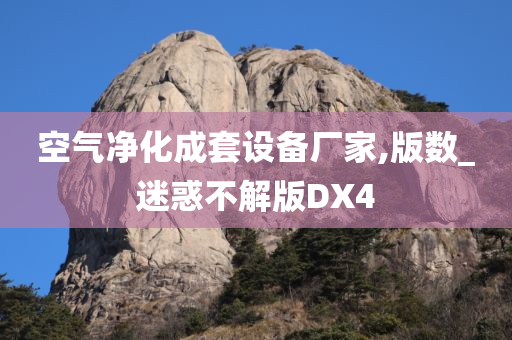 空气净化成套设备厂家,版数_迷惑不解版DX4