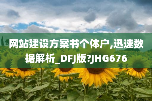 网站建设方案书个体户,迅速数据解析_DFJ版?JHG676