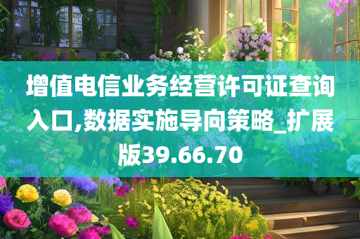 增值电信业务经营许可证查询入口,数据实施导向策略_扩展版39.66.70