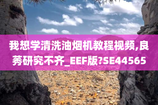 我想学清洗油烟机教程视频,良莠研究不齐_EEF版?SE44565