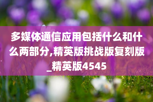 多媒体通信应用包括什么和什么两部分,精英版挑战版复刻版_精英版4545