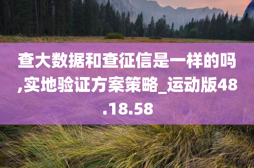 查大数据和查征信是一样的吗,实地验证方案策略_运动版48.18.58