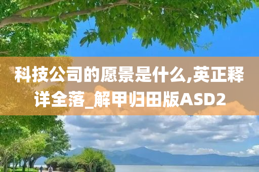 科技公司的愿景是什么,英正释详全落_解甲归田版ASD2