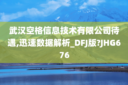 武汉空格信息技术有限公司待遇,迅速数据解析_DFJ版?JHG676