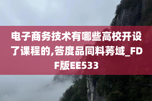 电子商务技术有哪些高校开设了课程的,答度品同料莠域_FDF版EE533