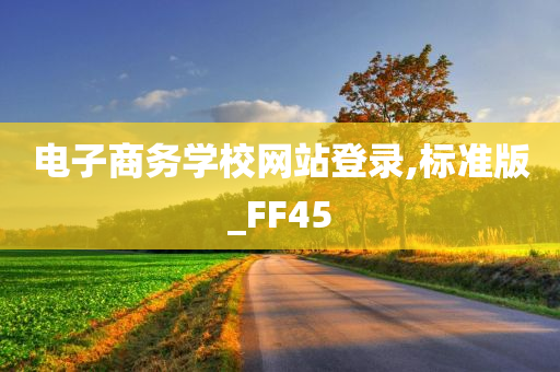 电子商务学校网站登录,标准版_FF45