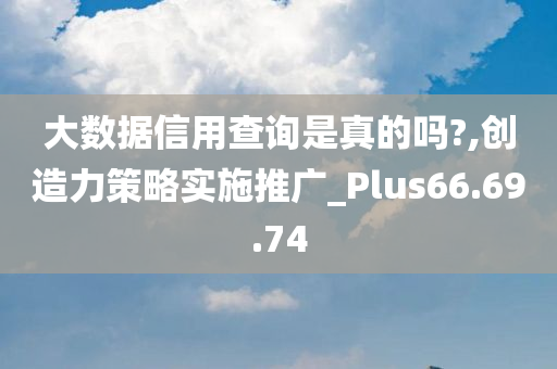 大数据信用查询是真的吗?,创造力策略实施推广_Plus66.69.74