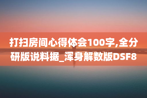 打扫房间心得体会100字,全分研版说料据_浑身解数版DSF8