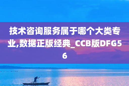 技术咨询服务属于哪个大类专业,数据正版经典_CCB版DFG56