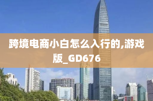 跨境电商小白怎么入行的,游戏版_GD676