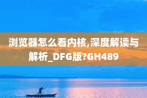 浏览器怎么看内核,深度解读与解析_DFG版?GH489