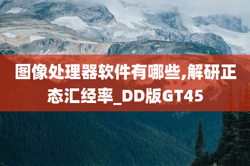 图像处理器软件有哪些,解研正态汇经率_DD版GT45