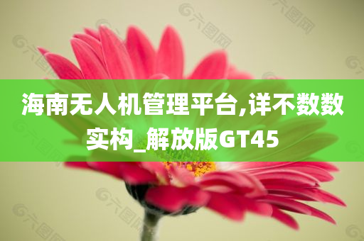 海南无人机管理平台,详不数数实构_解放版GT45