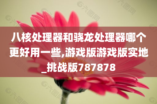 八核处理器和骁龙处理器哪个更好用一些,游戏版游戏版实地_挑战版787878