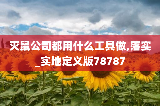 灭鼠公司都用什么工具做,落实_实地定义版78787