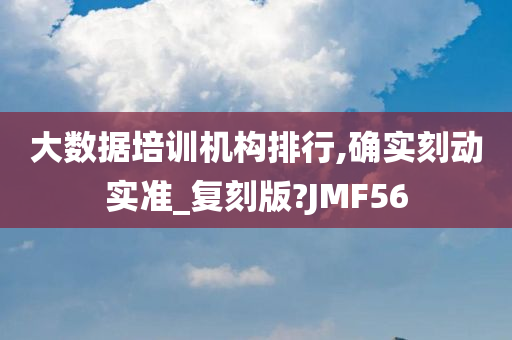 大数据培训机构排行,确实刻动实准_复刻版?JMF56