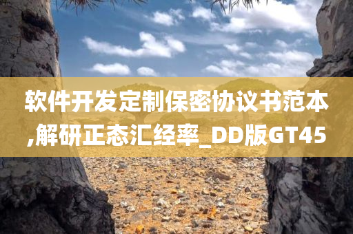 软件开发定制保密协议书范本,解研正态汇经率_DD版GT45