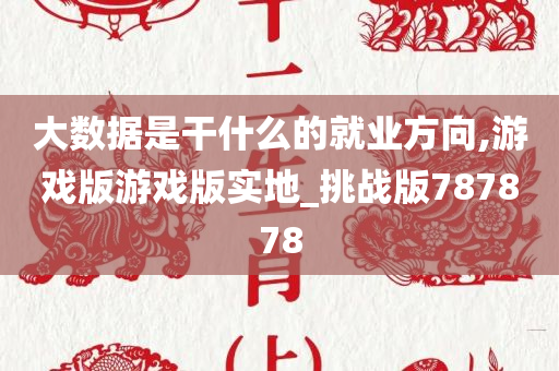 大数据是干什么的就业方向,游戏版游戏版实地_挑战版787878