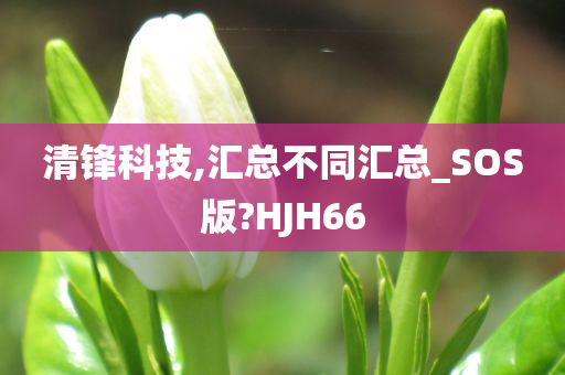 清锋科技,汇总不同汇总_SOS版?HJH66