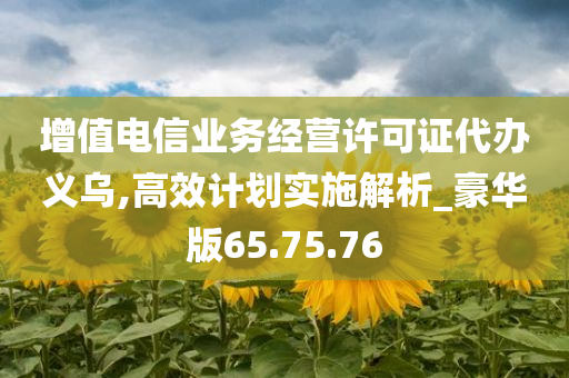 增值电信业务经营许可证代办义乌,高效计划实施解析_豪华版65.75.76