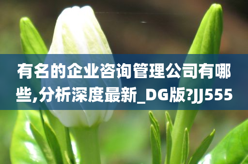 有名的企业咨询管理公司有哪些,分析深度最新_DG版?JJ555