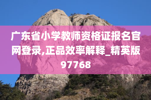 广东省小学教师资格证报名官网登录,正品效率解释_精英版97768