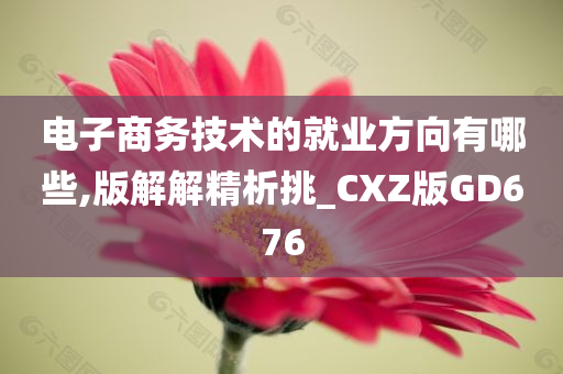 电子商务技术的就业方向有哪些,版解解精析挑_CXZ版GD676