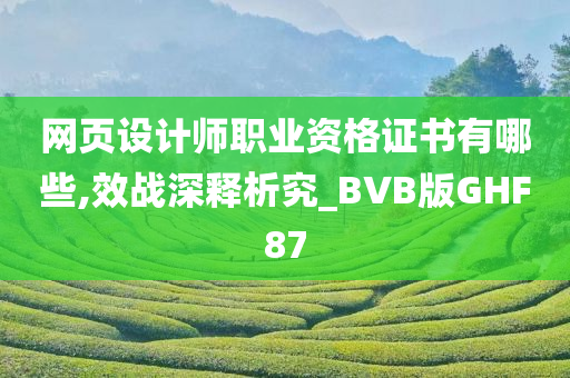 网页设计师职业资格证书有哪些,效战深释析究_BVB版GHF87