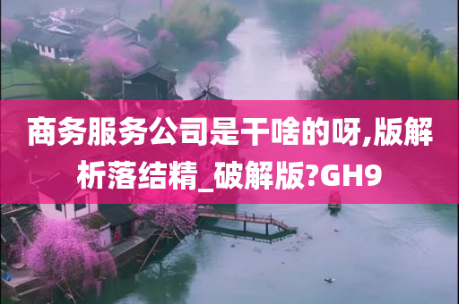 商务服务公司是干啥的呀,版解析落结精_破解版?GH9