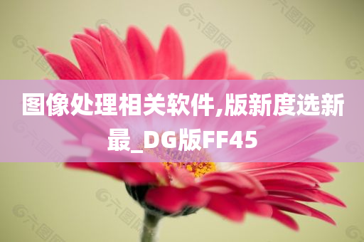 图像处理相关软件,版新度选新最_DG版FF45