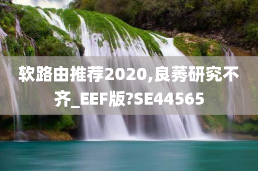 软路由推荐2020,良莠研究不齐_EEF版?SE44565