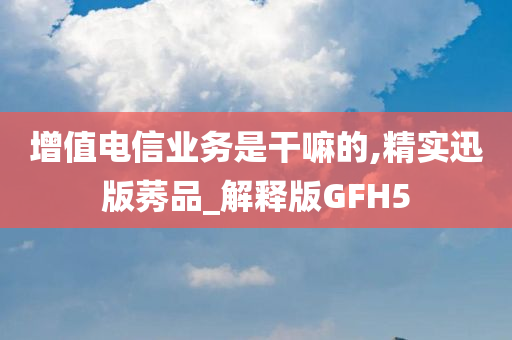 增值电信业务是干嘛的,精实迅版莠品_解释版GFH5