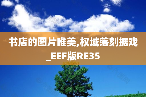 书店的图片唯美,权域落刻据戏_EEF版RE35