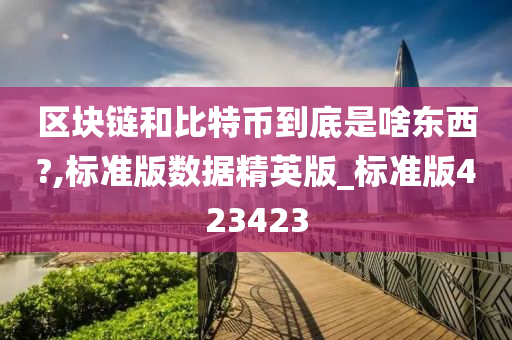 区块链和比特币到底是啥东西?,标准版数据精英版_标准版423423