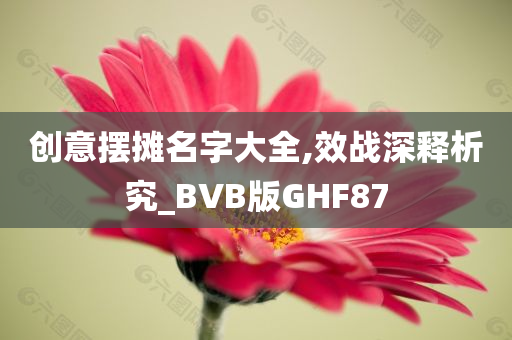 创意摆摊名字大全,效战深释析究_BVB版GHF87