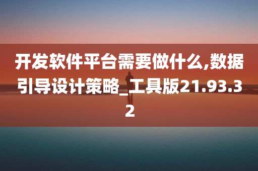 开发软件平台需要做什么,数据引导设计策略_工具版21.93.32