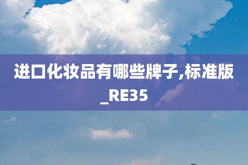 进口化妆品有哪些牌子,标准版_RE35