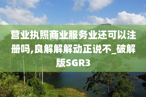 营业执照商业服务业还可以注册吗,良解解解动正说不_破解版SGR3