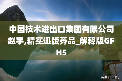 中国技术进出口集团有限公司赵宇,精实迅版莠品_解释版GFH5